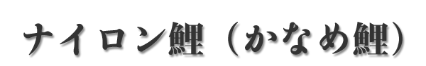 ナイロン鯉(かなめ鯉)