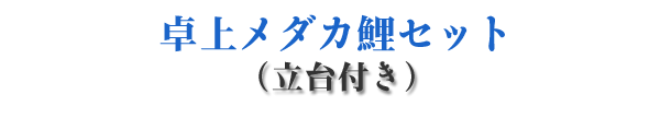 卓上メダカ鯉セット
