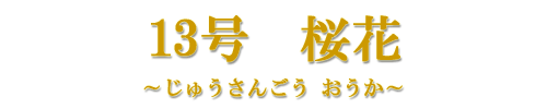 13@
