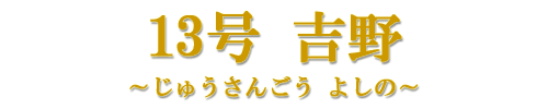 13@g