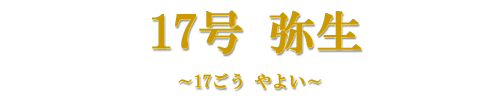 17@퐶