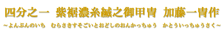 l̈@ZnVbh@hސ